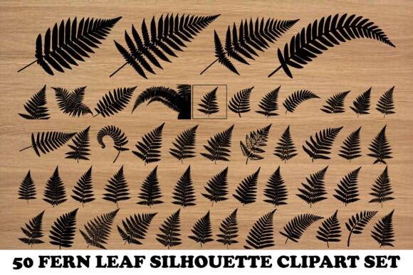50 Fern Leaf Silhouettes: Graphics & Illustrations