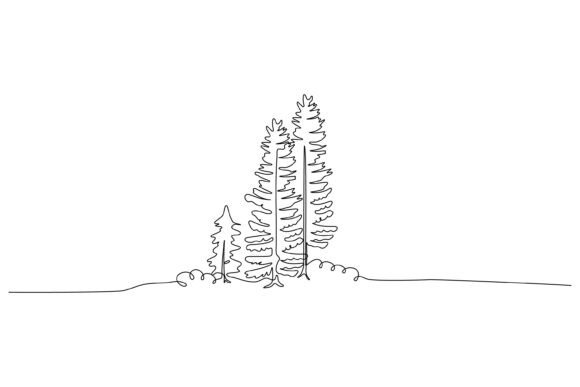Continuous Line Design of Pine Tree Graphics and Illustrations