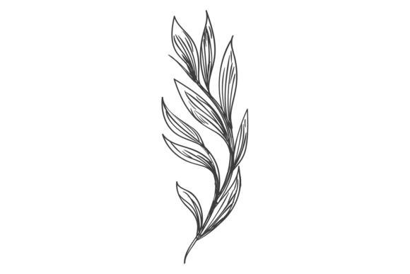 Leaf Branch Doodle: Graphics and Illustrations Review