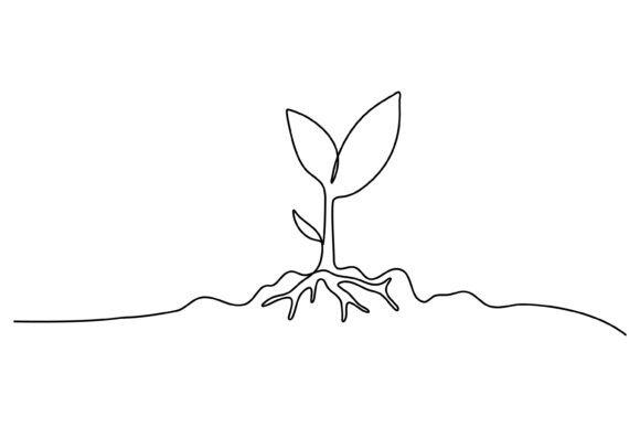 Plant Growth Graphics: A Seller’s Review
