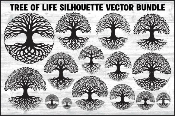 Tree of Life Graphics & Illustrations Review